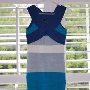 Venus Form Fitting Dress